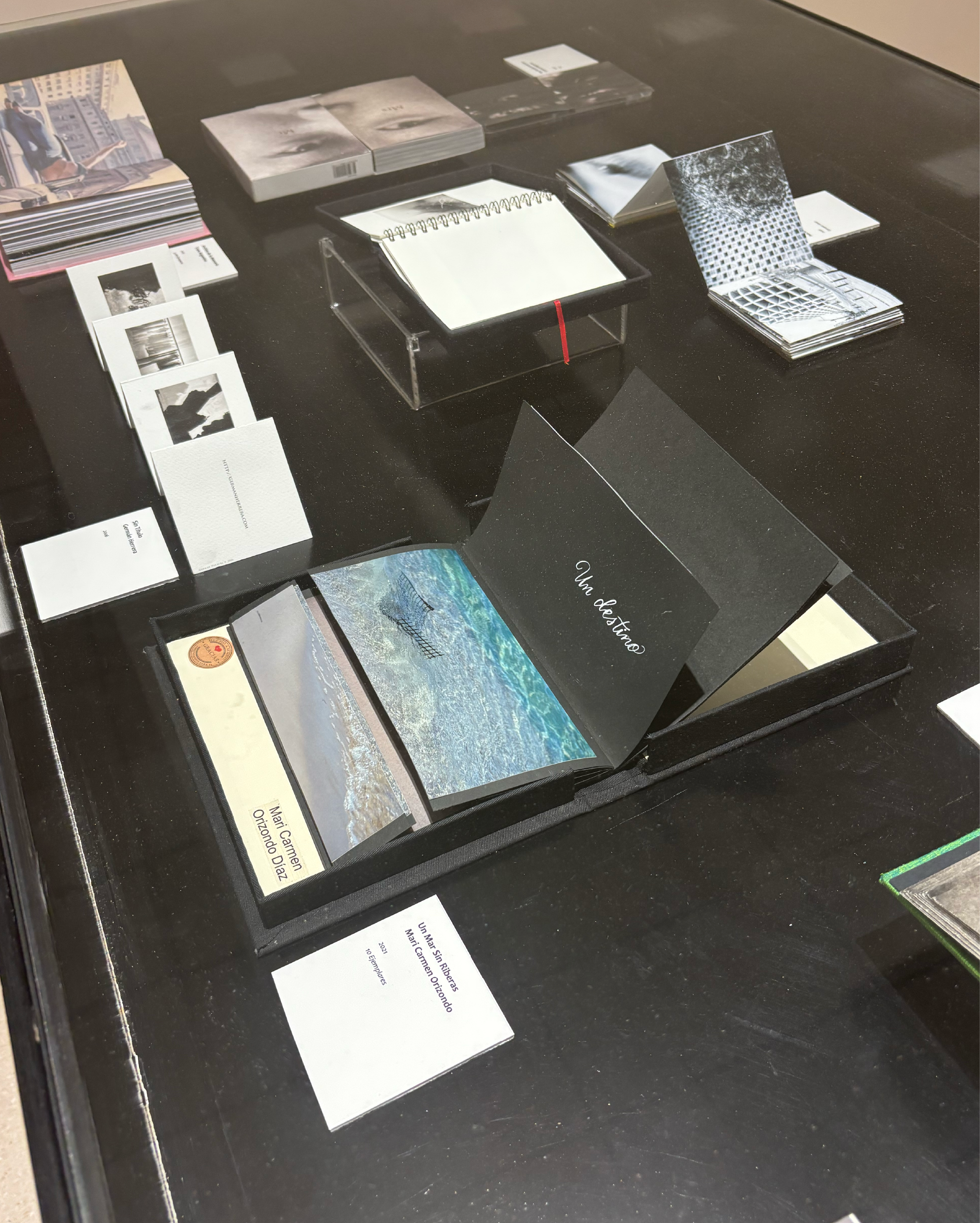 Photoimagen_2026 04