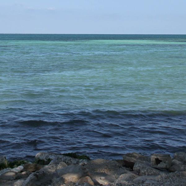 Cacique