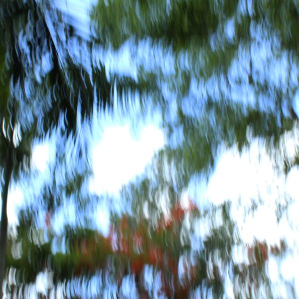 Delirio de Framboyanes