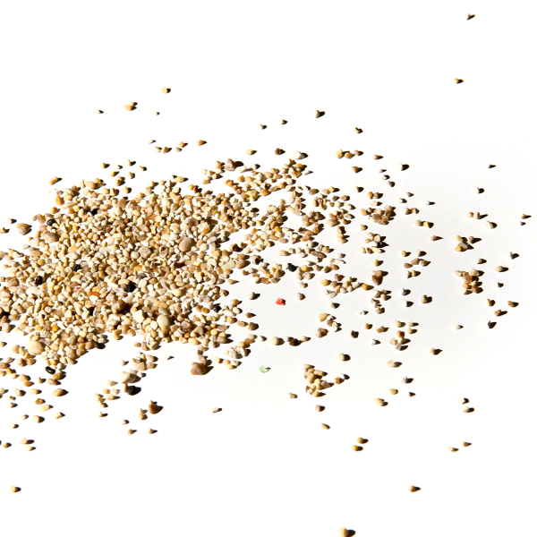 EL CACIQUE DEL SUR. ENRIQUILLO. 