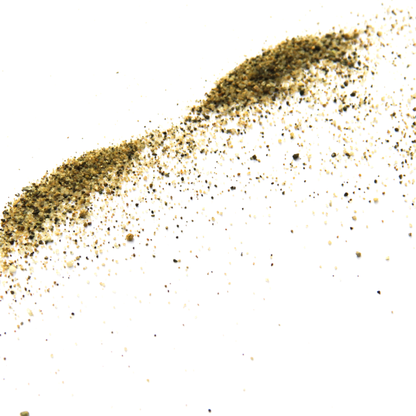 EL FORMADOR DEL PATRICIO. GASPAR HERNÁNDEZ.