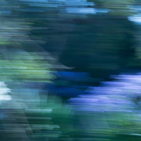 Ilusiones de Ortencias