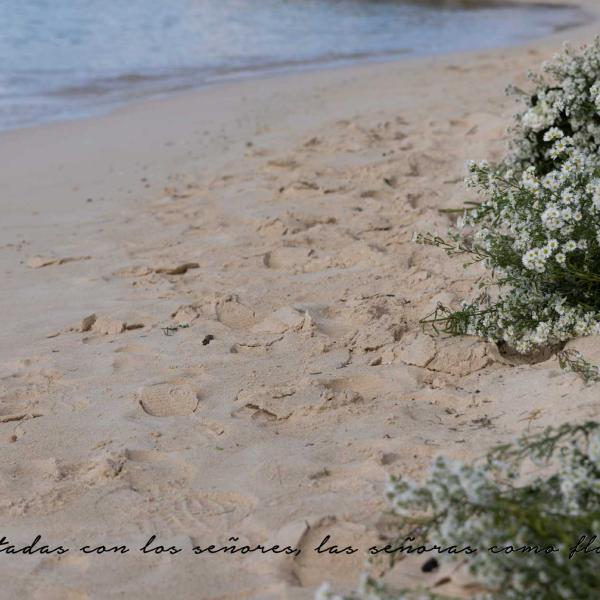 Sentadas con los señores, las señoras como flores.